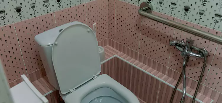 Meeting Diverse Needs With Accessible Restroom Solutions in Fresno, CA